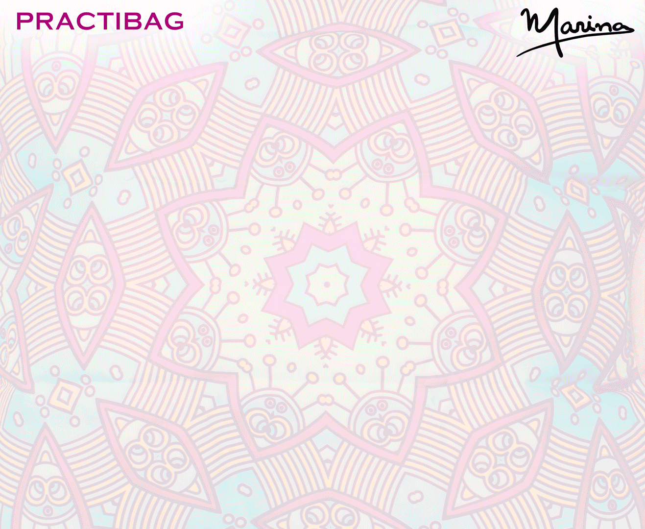 gift bolso sesgo 16 12